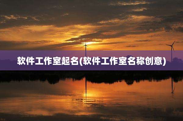 软件工作室起名(软件工作室名称创意)