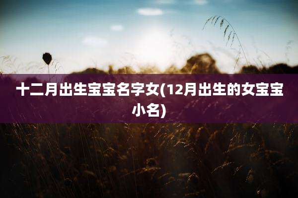 十二月出生宝宝名字女(12月出生的女宝宝小名)