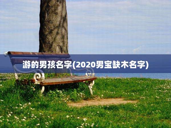 游的男孩名字(2020男宝缺木名字)