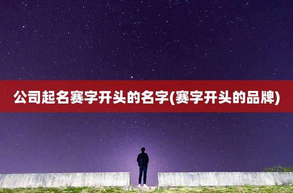 公司起名赛字开头的名字(赛字开头的品牌)