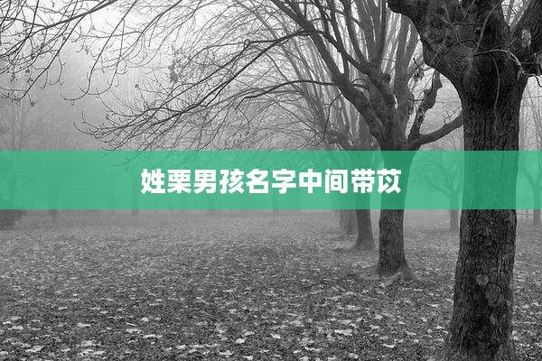 姓栗男孩名字中间带苡