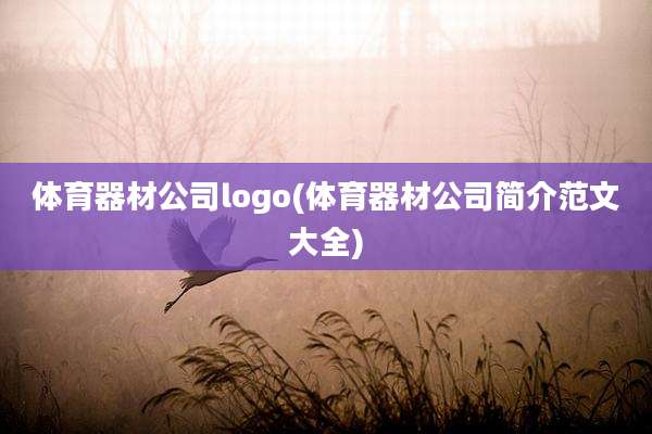 体育器材公司logo(体育器材公司简介范文大全)