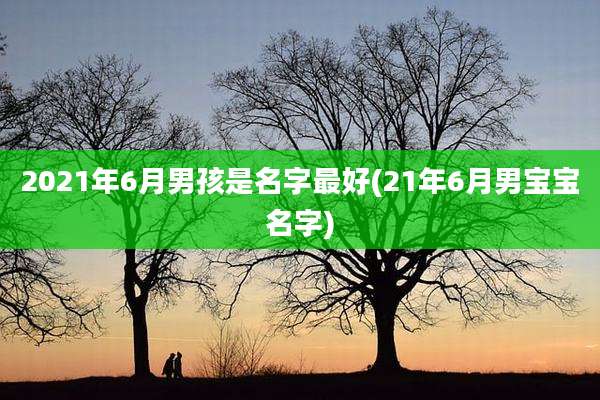 2021年6月男孩是名字最好(21年6月男宝宝名字)