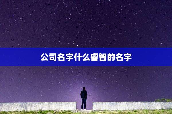 公司名字什么睿智的名字