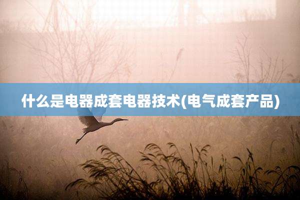 什么是电器成套电器技术(电气成套产品)