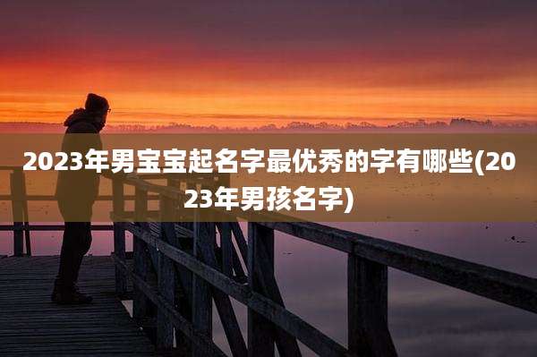 2023年男宝宝起名字最优秀的字有哪些(2023年男孩名字)