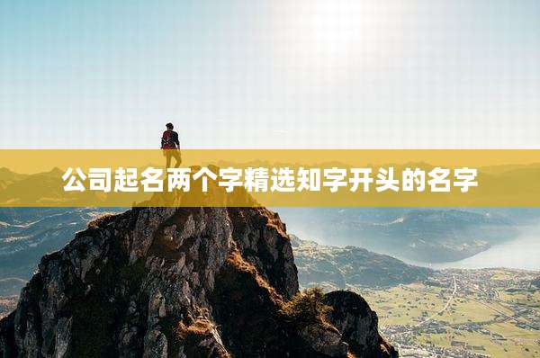 公司起名两个字精选知字开头的名字