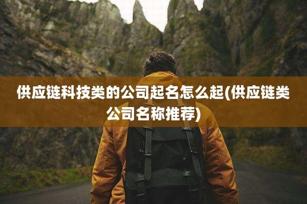 供应链科技类的公司起名怎么起(供应链类公司名称推荐)