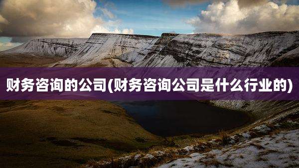 财务咨询的公司(财务咨询公司是什么行业的)