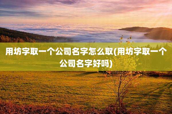 用坊字取一个公司名字怎么取(用坊字取一个公司名字好吗)