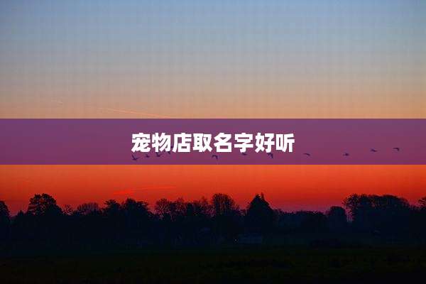 宠物店取名字好听