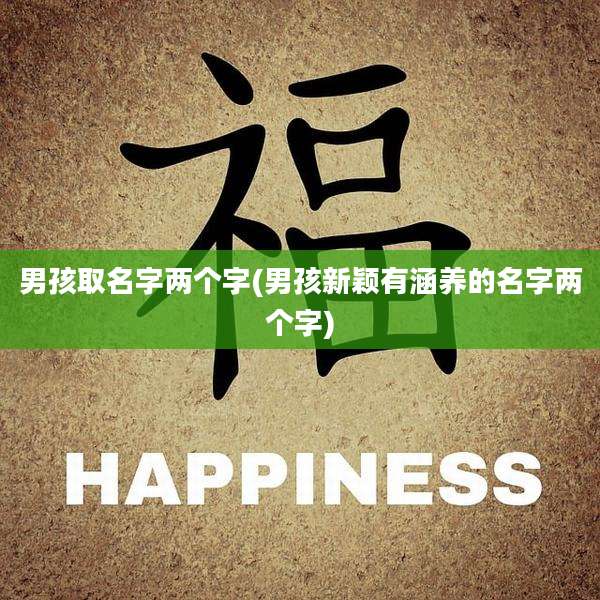 男孩取名字两个字(男孩新颖有涵养的名字两个字)
