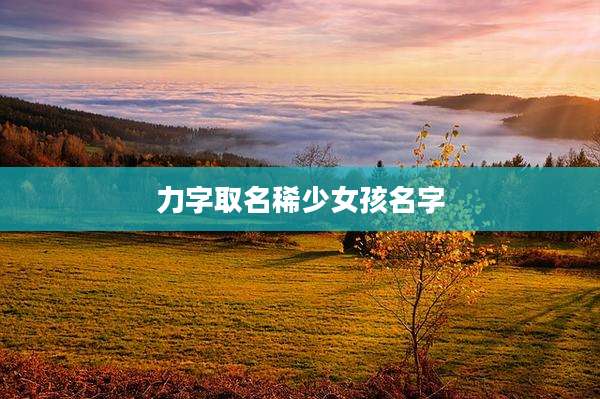 力字取名稀少女孩名字