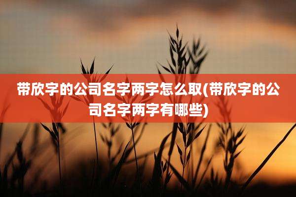 带欣字的公司名字两字怎么取(带欣字的公司名字两字有哪些)