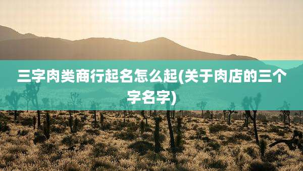三字肉类商行起名怎么起(关于肉店的三个字名字)
