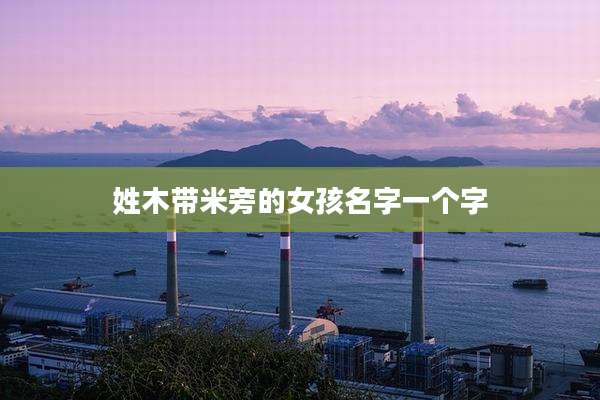姓木带米旁的女孩名字一个字