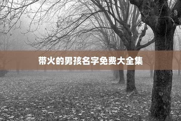 带火的男孩名字免费大全集
