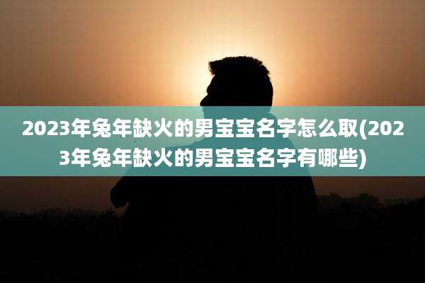 2023年兔年缺火的男宝宝名字怎么取(2023年兔年缺火的男宝宝名字有哪些)