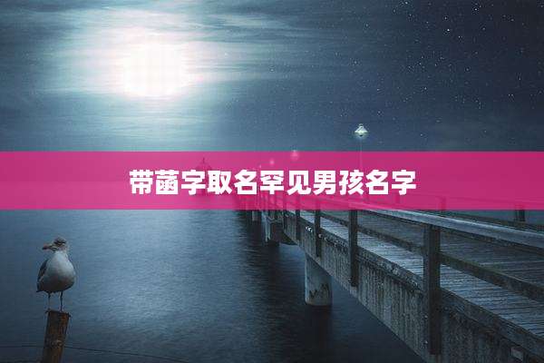 带菡字取名罕见男孩名字