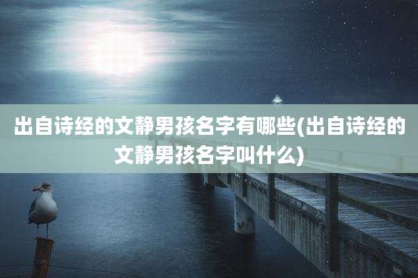 出自诗经的文静男孩名字有哪些(出自诗经的文静男孩名字叫什么)