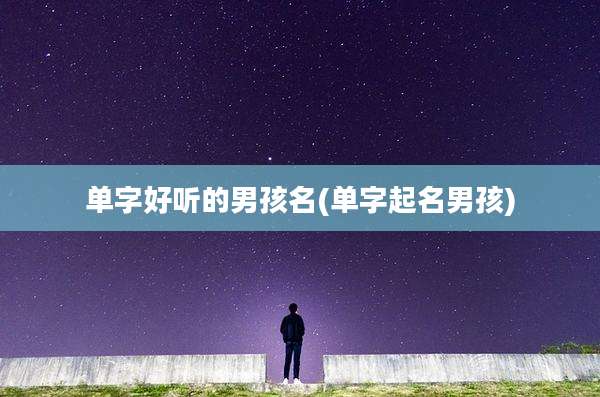 单字好听的男孩名(单字起名男孩)