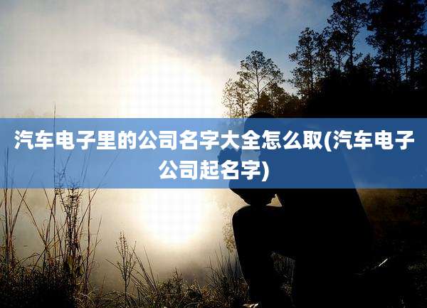 汽车电子里的公司名字大全怎么取(汽车电子公司起名字)