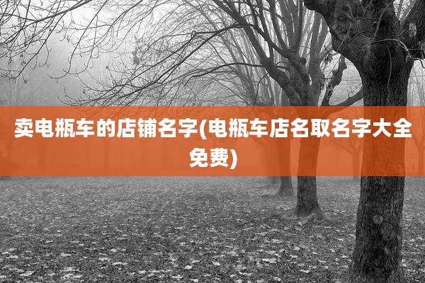 卖电瓶车的店铺名字(电瓶车店名取名字大全免费)