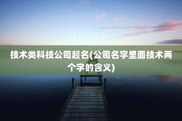 技术类科技公司起名(公司名字里面技术两个字的含义)