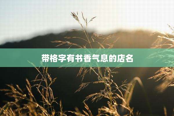 带格字有书香气息的店名