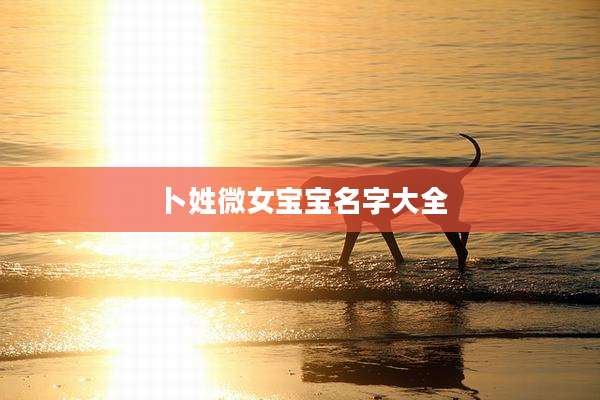 卜姓微女宝宝名字大全