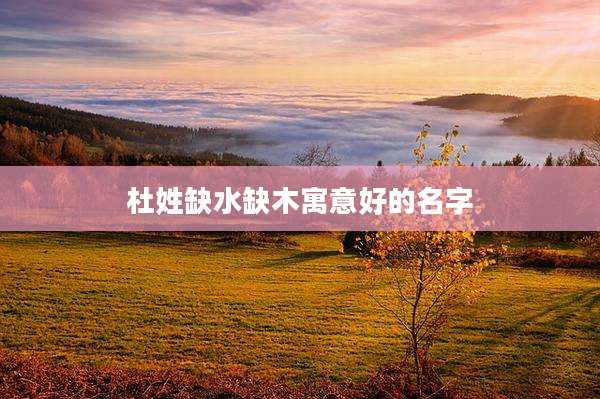 杜姓缺水缺木寓意好的名字
