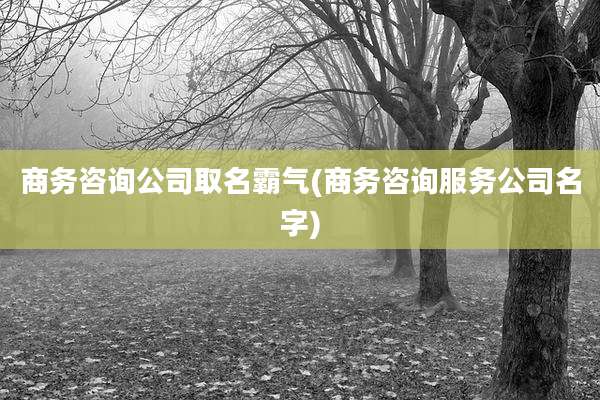 商务咨询公司取名霸气(商务咨询服务公司名字)