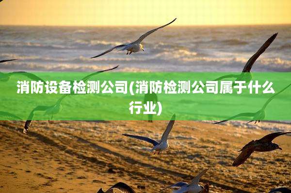 消防设备检测公司(消防检测公司属于什么行业)