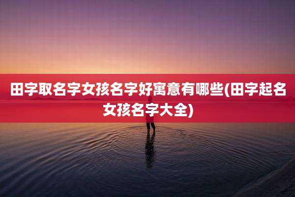田字取名字女孩名字好寓意有哪些(田字起名女孩名字大全)