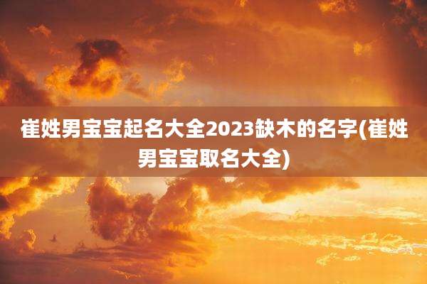 崔姓男宝宝起名大全2023缺木的名字(崔姓男宝宝取名大全)