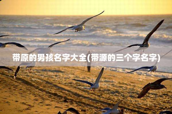 带原的男孩名字大全(带源的三个字名字)