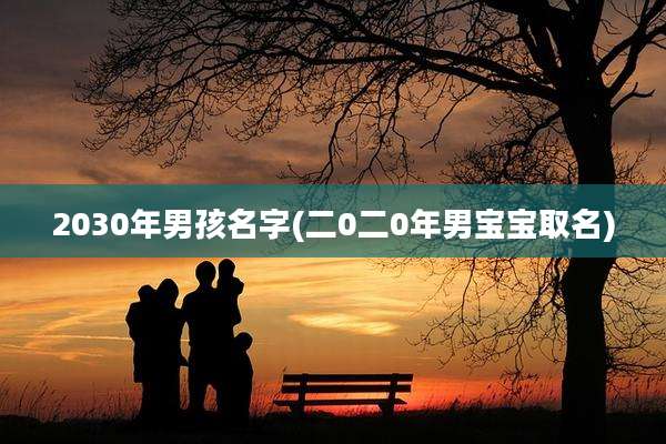 2030年男孩名字(二0二0年男宝宝取名)