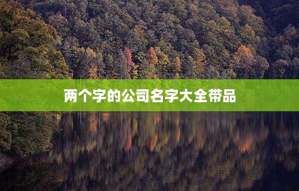 两个字的公司名字大全带品