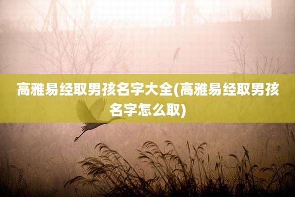 高雅易经取男孩名字大全(高雅易经取男孩名字怎么取)