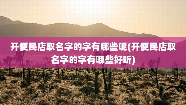 开便民店取名字的字有哪些呢(开便民店取名字的字有哪些好听)