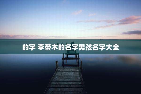 的字 李带木的名字男孩名字大全