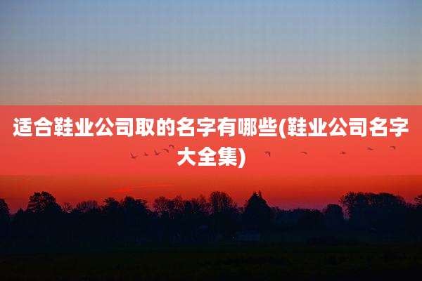 适合鞋业公司取的名字有哪些(鞋业公司名字大全集)