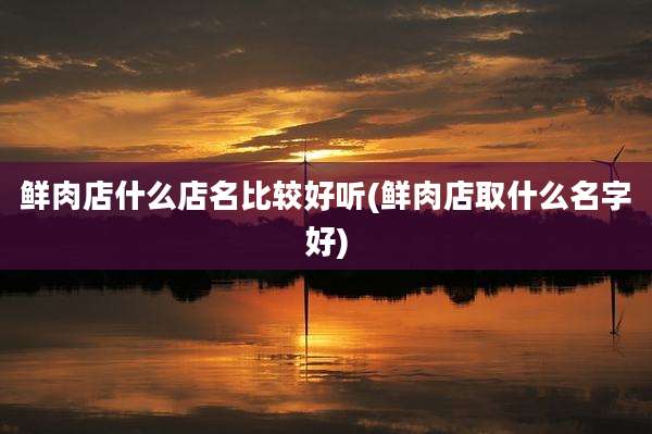 鲜肉店什么店名比较好听(鲜肉店取什么名字好)
