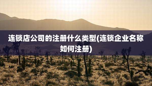 连锁店公司的注册什么类型(连锁企业名称如何注册)