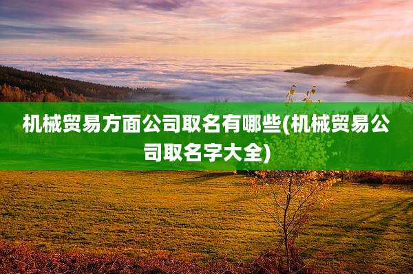 机械贸易方面公司取名有哪些(机械贸易公司取名字大全)
