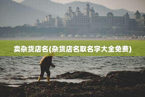 卖杂货店名(杂货店名取名字大全免费)