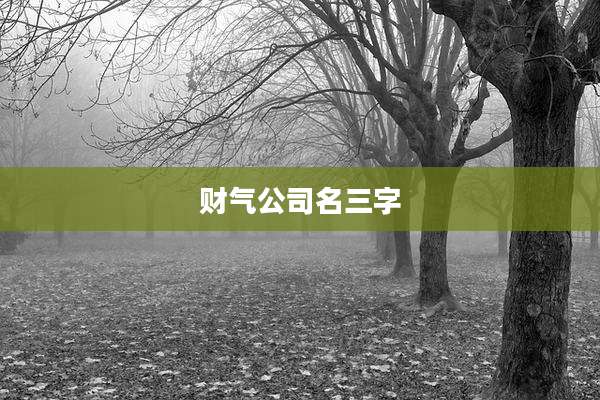 财气公司名三字