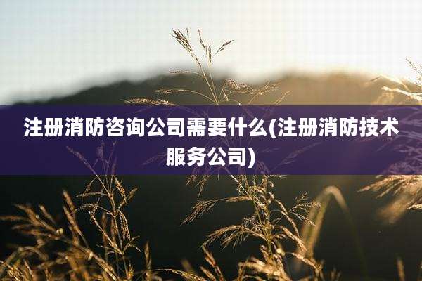 注册消防咨询公司需要什么(注册消防技术服务公司)
