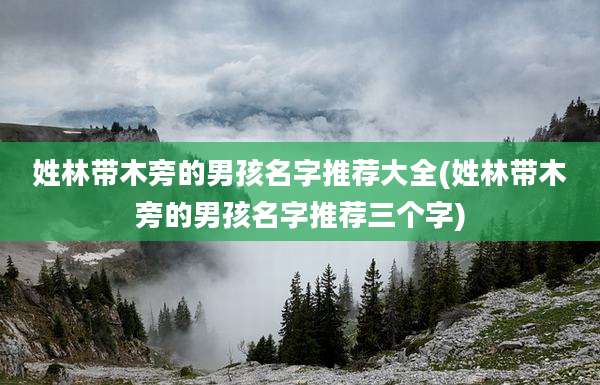 姓林带木旁的男孩名字推荐大全(姓林带木旁的男孩名字推荐三个字)