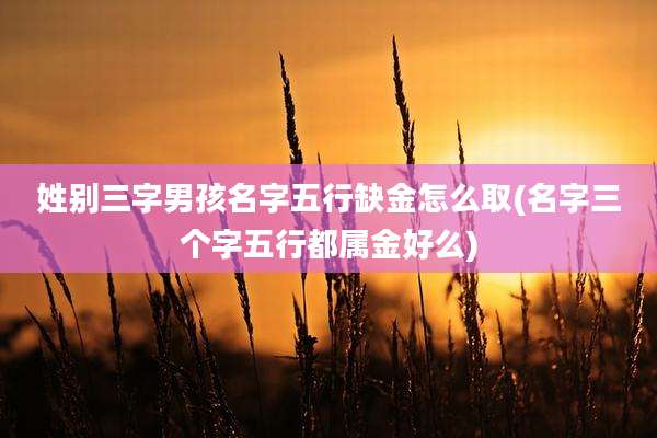 姓别三字男孩名字五行缺金怎么取(名字三个字五行都属金好么)